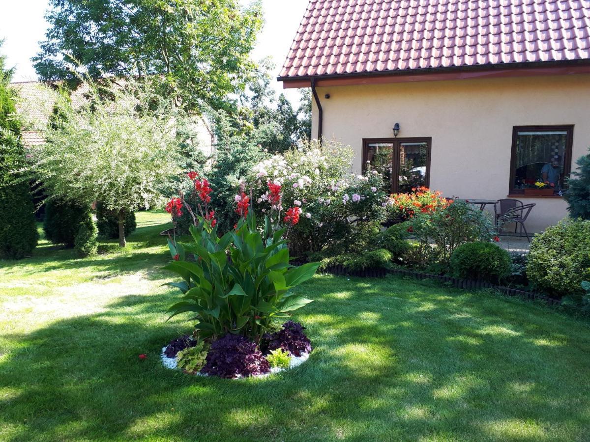 Agroturystyka Druzno Elbląg Extérieur photo